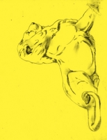 48_lion1a.jpg